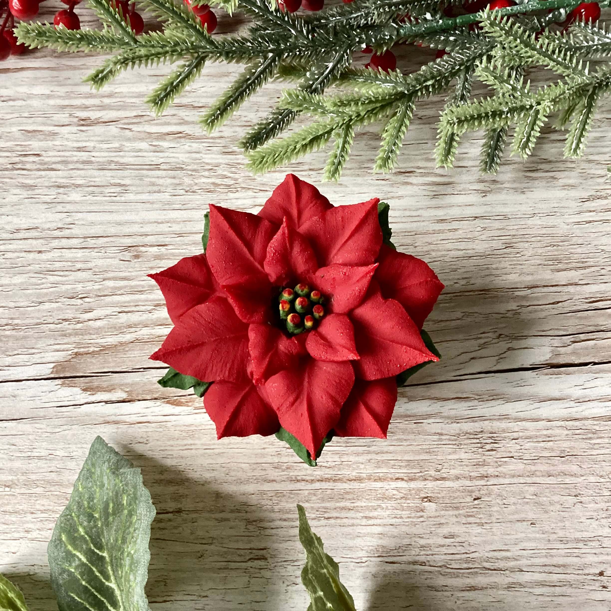 Christmas Poinsettia