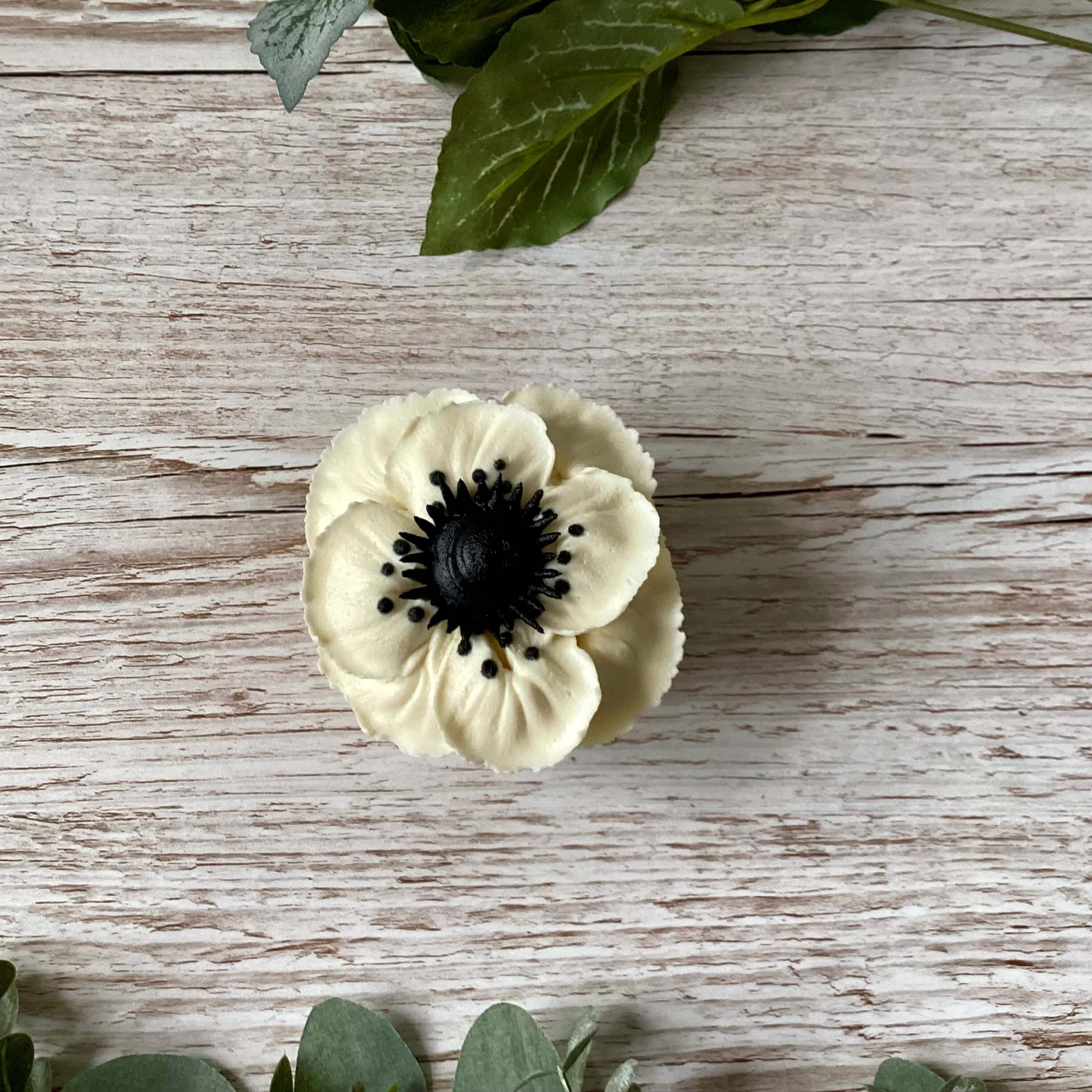 Beginner/Intermediate Anemone