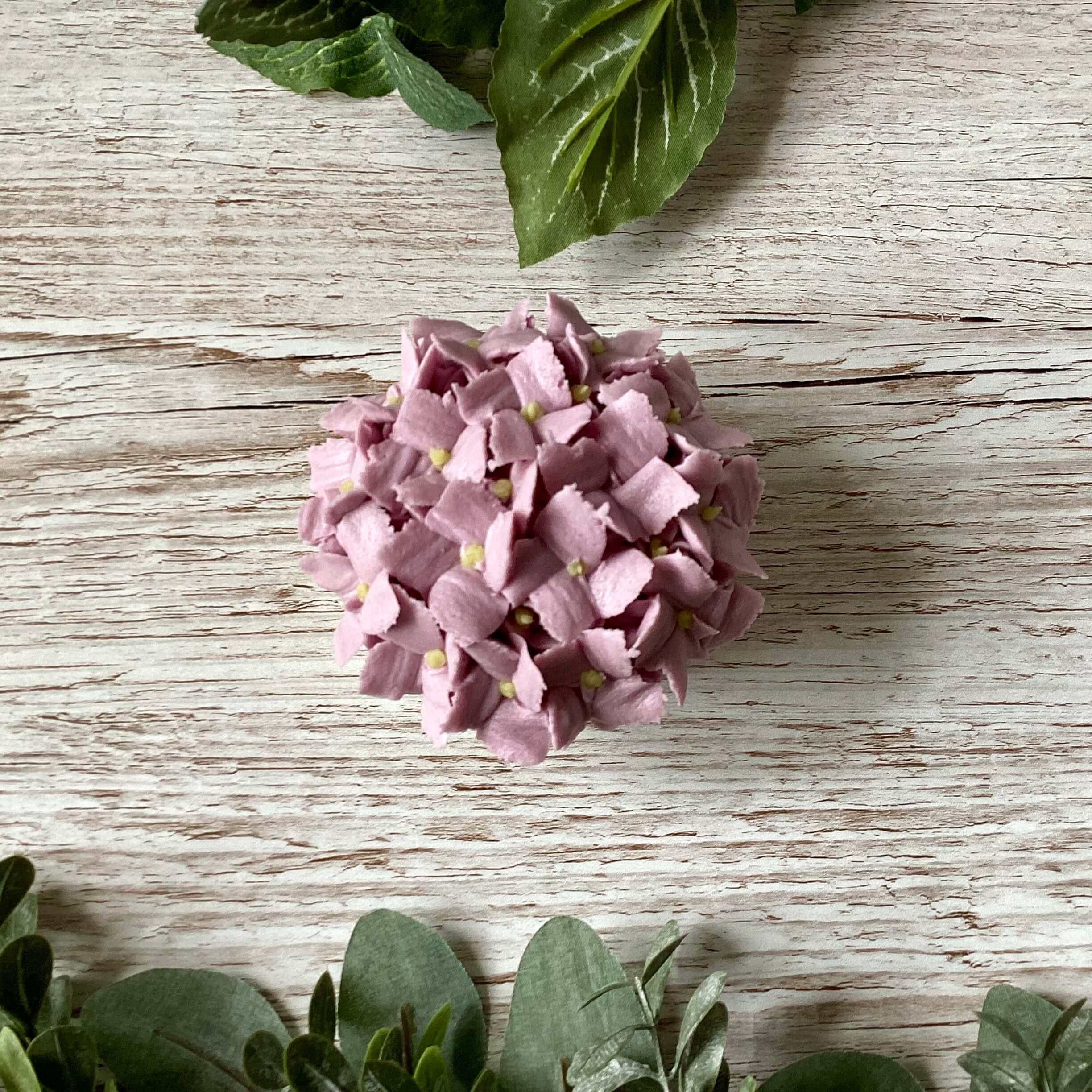 Intermediate/Advanced Hydrangea