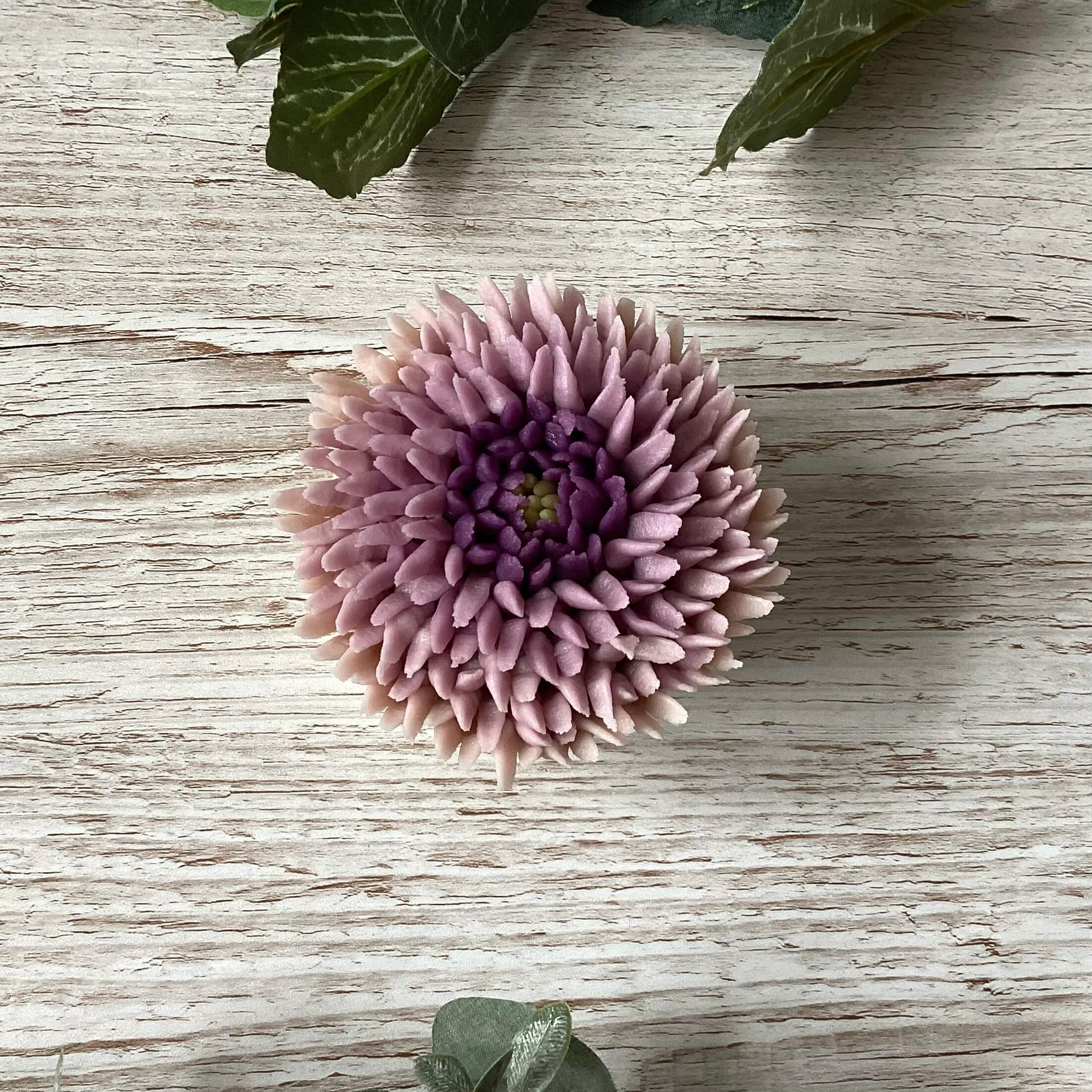 Intermediate – Chrysanthemum (colour graded)