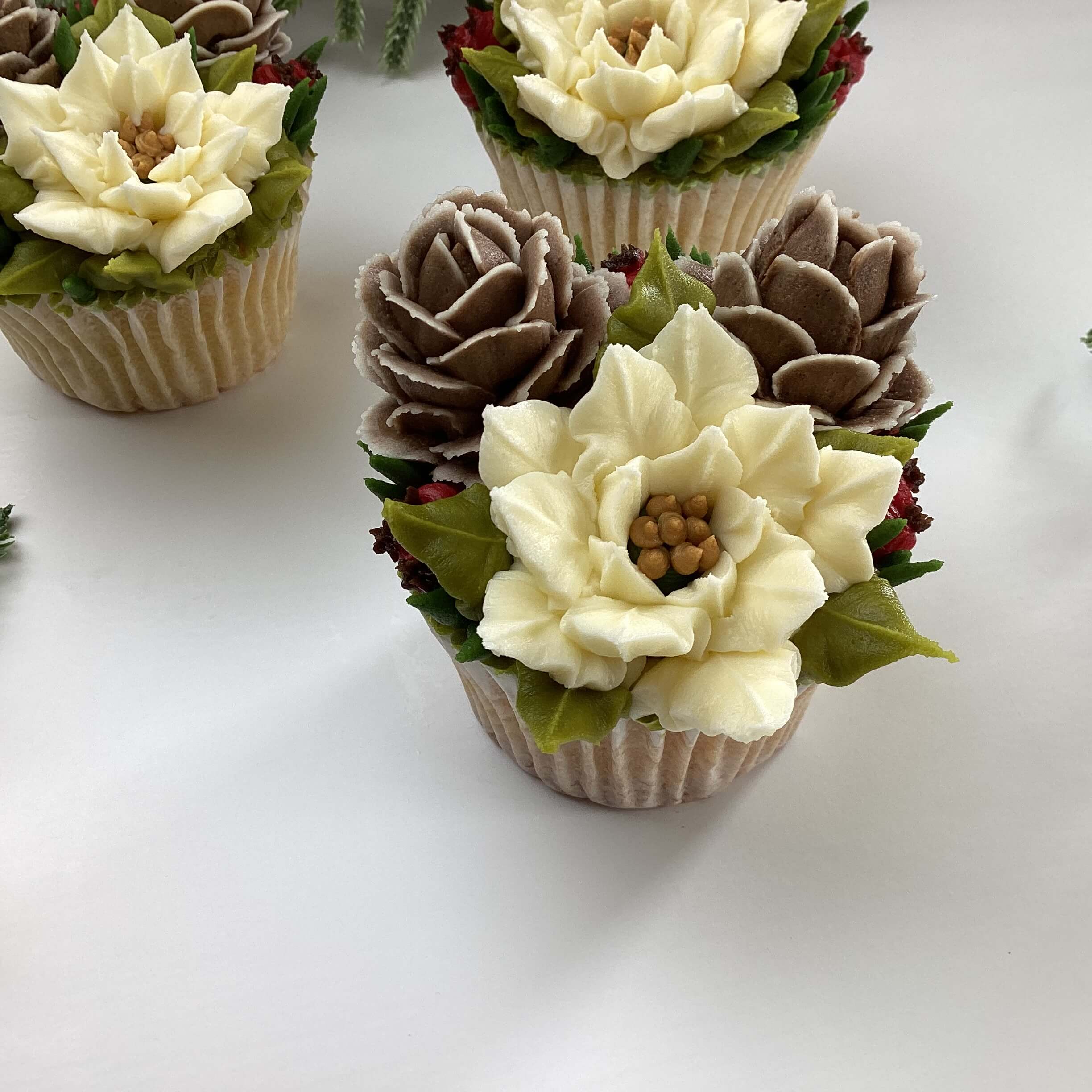 Intermediate/Beginners Mini Poinsettia