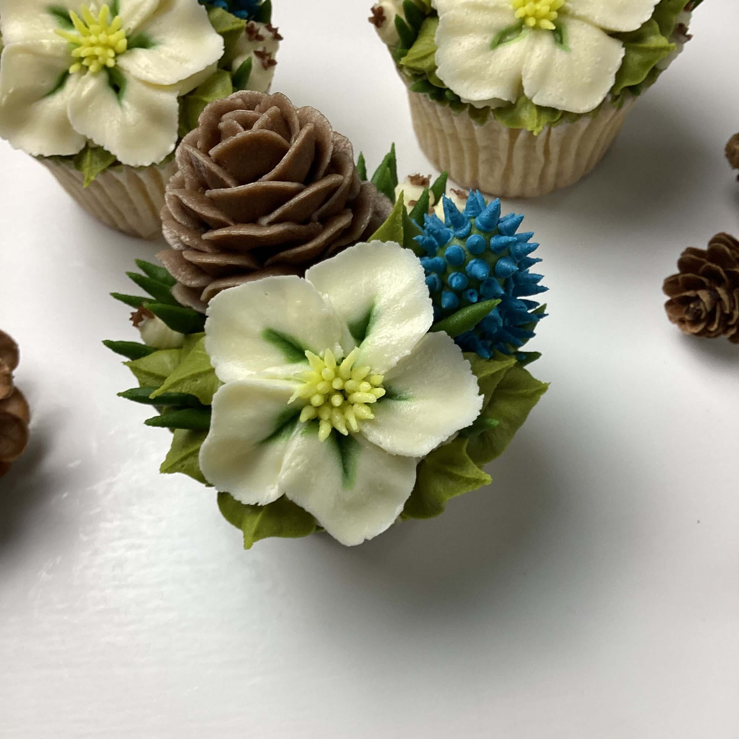 Intermediate Christmas Rose/Mini Hellebore