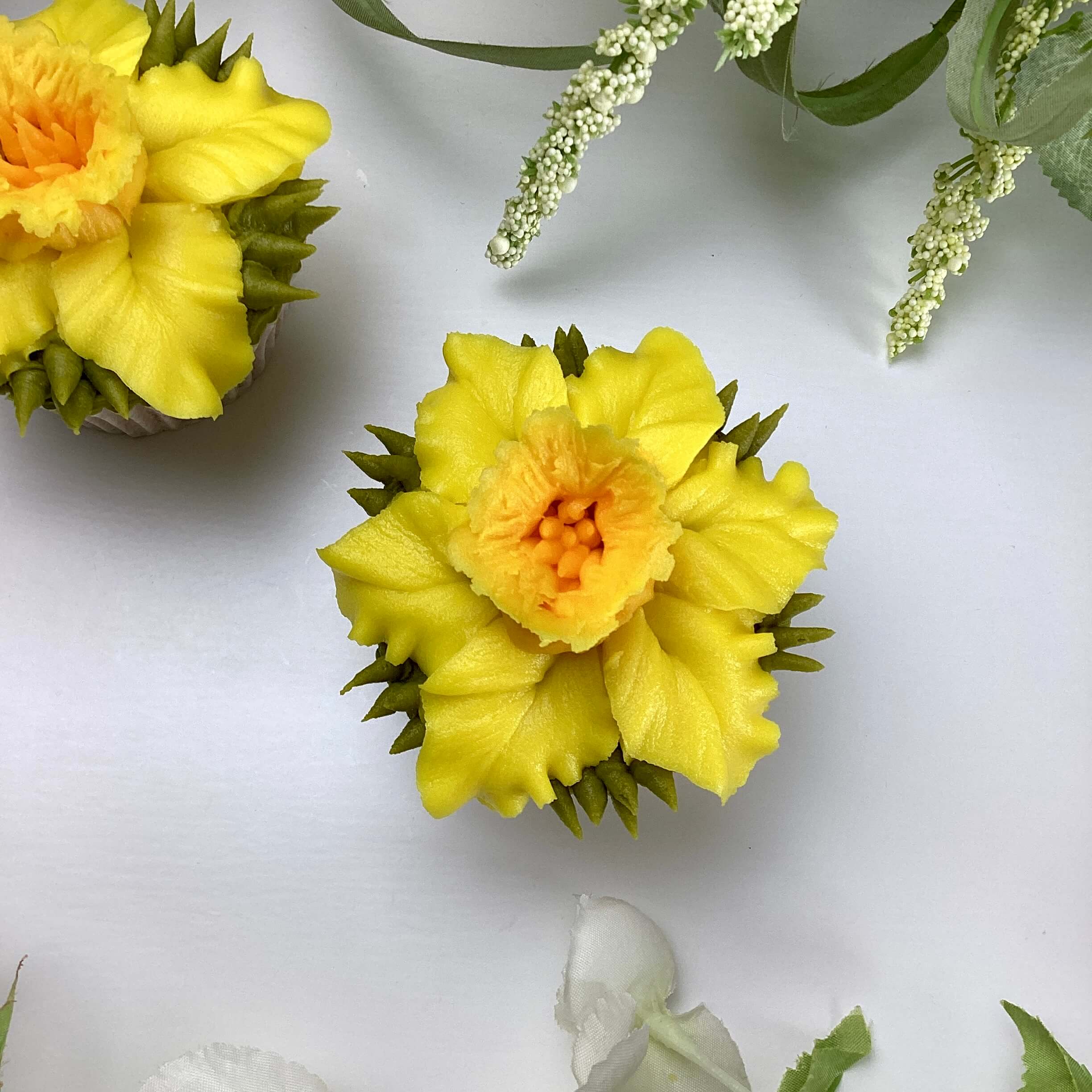 Intermediate Daffodil (full size)