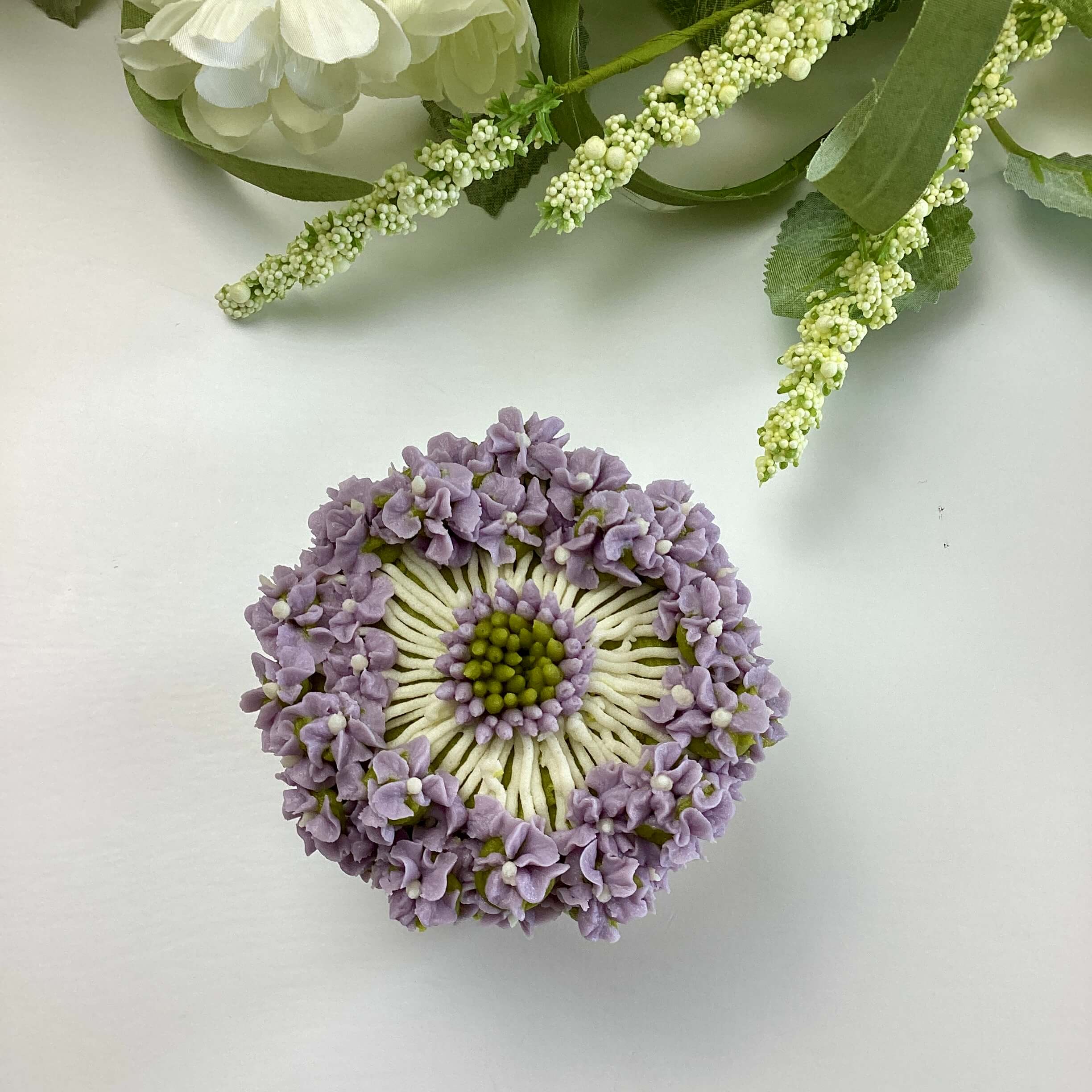 Advanced Didiscus (Lace Flower)