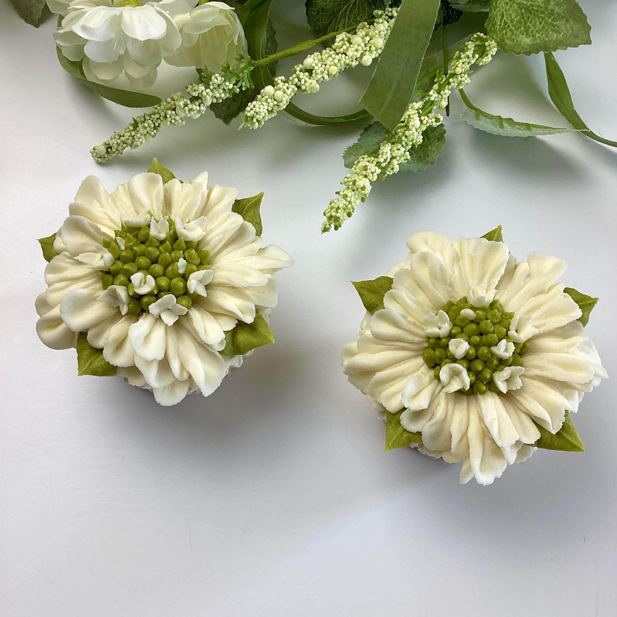 Intermediate Scabiosa