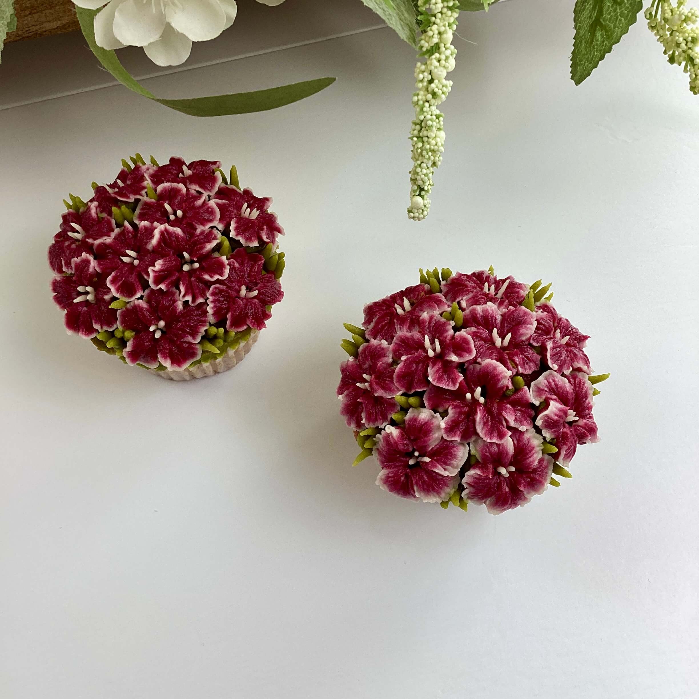 Intermediate Sweet William
