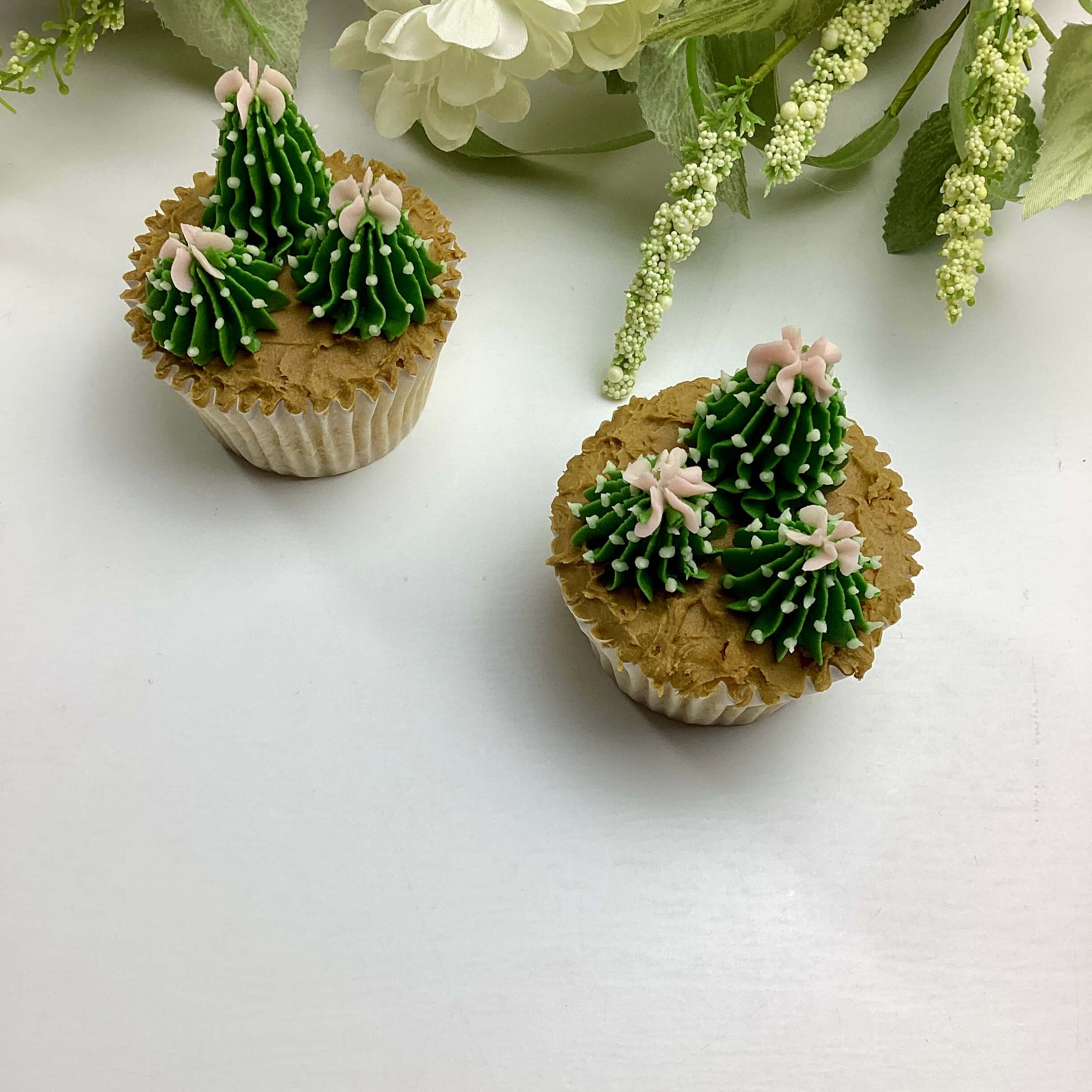 Succulent – beginner #6