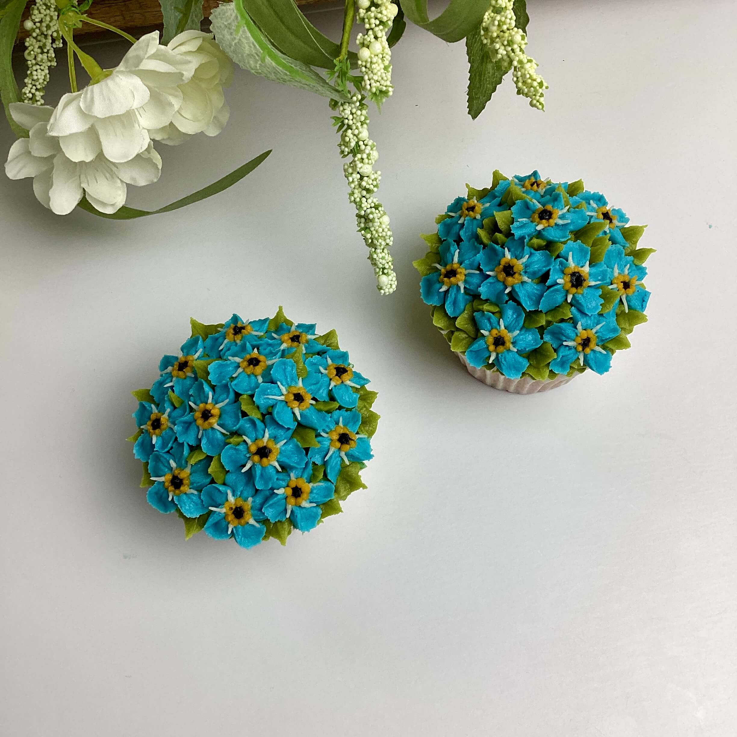 Intermediate Forget Me Nots