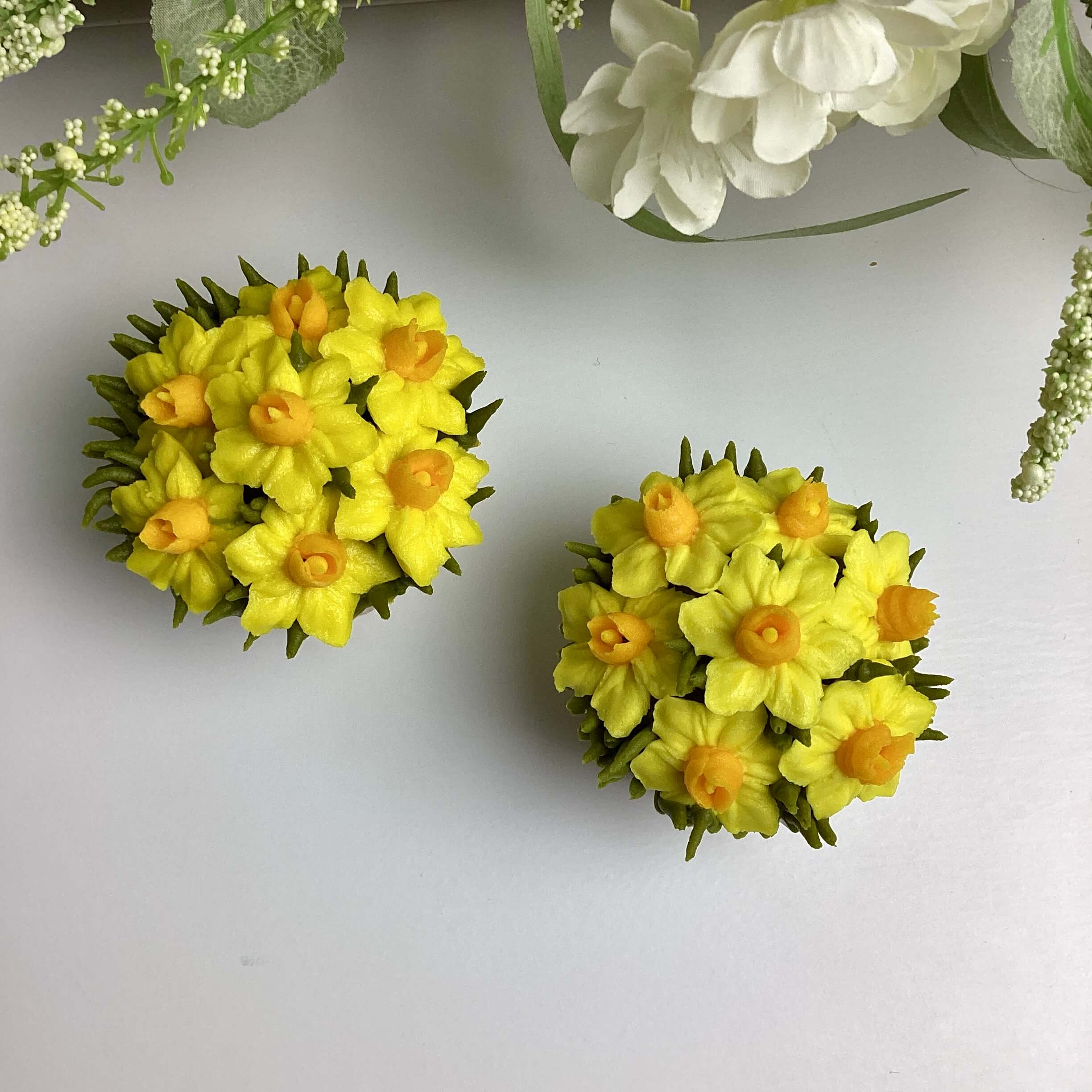 Advanced/Intermediate Dwarf Daffodils
